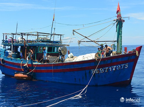 Đà Nẵng: Đưa 12 ngư dân tàu cá Bình Định bị nạn trên biển vào bờ - ảnh 1
