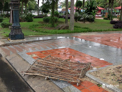 Đà Nẵng: Tờ gấp du lịch thành rác ở Công viên Biển Đông! - ảnh 9