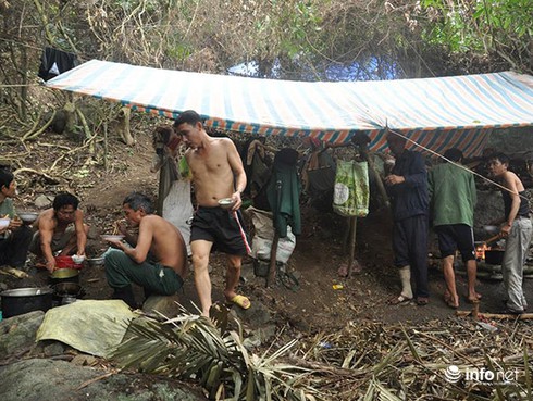 Đà Nẵng: Rừng Sơn Trà bị phá cả tháng trời, kiểm lâm không biết? - ảnh 3