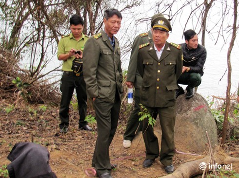 Kiểm lâm làm ngơ khi được báo tin rừng Sơn Trà bị xâm hại từ tháng 11/2015? - ảnh 1