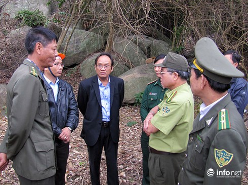 Tạm đình chỉ Hạt trưởng, Hạt phó Kiểm lâm vụ phá rừng Sơn Trà - ảnh 1