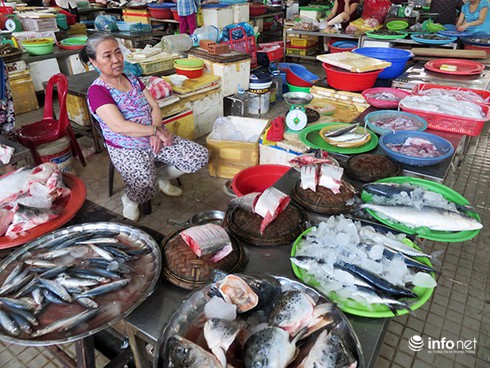Đà Nẵng: Cá biển sạch vẫn chưa về đến các chợ vì... lỡ nhịp? - ảnh 5