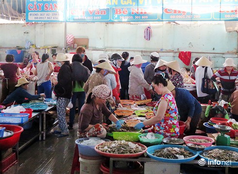 Đà Nẵng: Cá biển sạch vẫn chưa về đến các chợ vì... lỡ nhịp? - ảnh 1