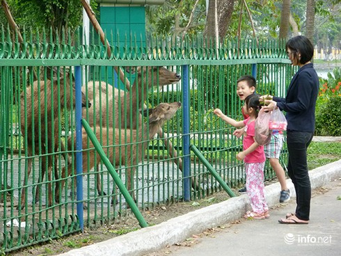 Đà Nẵng: Phê duyệt hơn 204ha đất xây dựng dự án Thảo Cầm Viên - ảnh 1