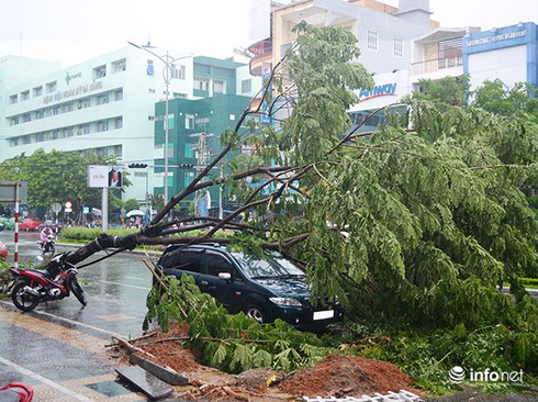 Phân công lãnh đạo UBND TP Đà Nẵng phụ trách phòng chống lụt bão tại các địa bàn - ảnh 1