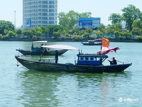 Ngư dân Đà Nẵng bỏ biển, đổ xô lặn chíp chíp: Có bàn tay thương lái Trung Quốc? - ảnh 3
