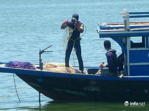 Ngư dân Đà Nẵng bỏ biển, đổ xô lặn chíp chíp: Có bàn tay thương lái Trung Quốc? - ảnh 1