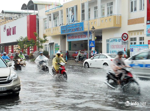 Đề phòng bão số 4, Đà Nẵng cho học sinh nghỉ học ngày 13/9 - ảnh 1