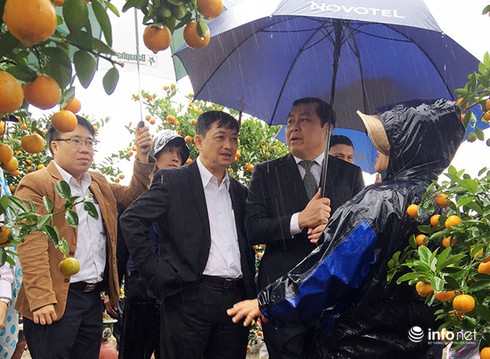 Đà Nẵng kịp thời hỗ trợ các hộ tham gia Chợ hoa Tết bị thất bát do mưa kéo dài - ảnh 1