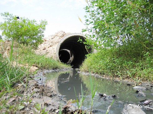 Đà Nẵng tìm giải pháp khai thác, bảo vệ, sử dụng hợp lý tài nguyên nước dưới đất - ảnh 1
