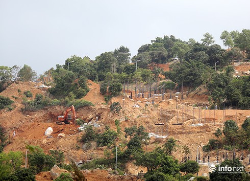 Đà Nẵng: Hôm nay kiểm tra, báo cáo vụ băm nát bán đảo Sơn Trà - ảnh 1