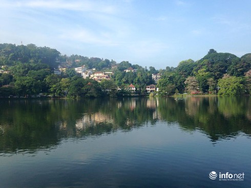 Cảnh sát cưỡi ngựa điều khiển giao thông ở Kandy - ảnh 2