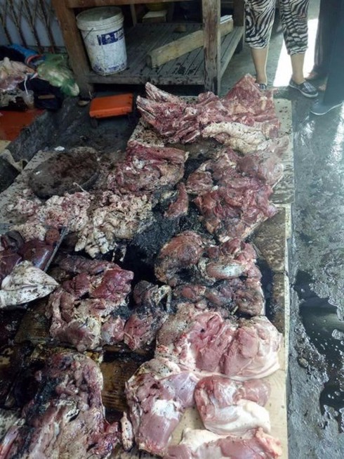 Xác minh hai người phụ nữ đổ chất thải lên thịt lợn - ảnh 2
