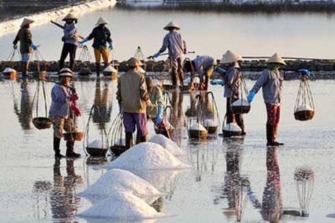 làm muối