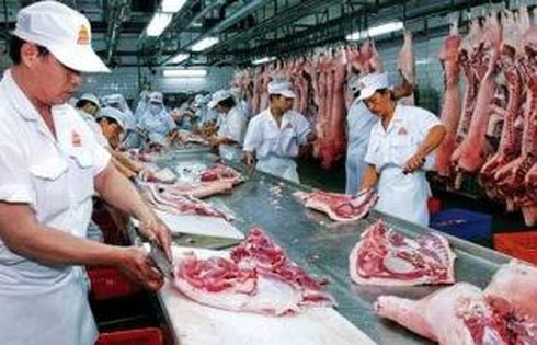 giết mổ gia súc