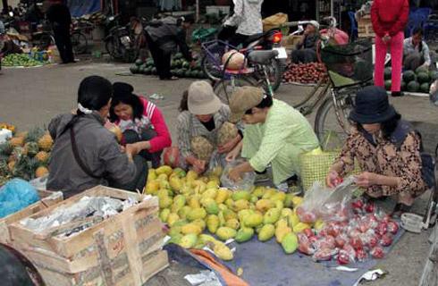 Giá cả đắt đỏ, chất lượng thực phẩm không rõ nguồn gốc khiến nhiều bà nội trợ tìm đến các chợ quê