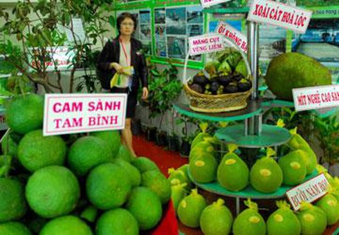 thương hiệu trái cây