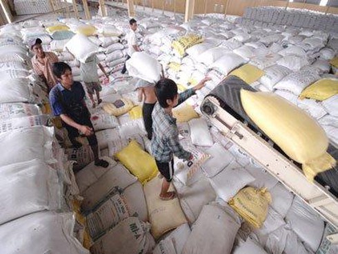 Kho chứa của một số doanh nghiệp xuất khẩu gạo ở ĐBSCL.