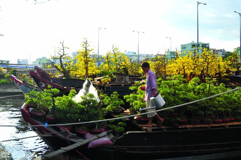 Mùa ghe “ chạy”…Tết - ảnh 2