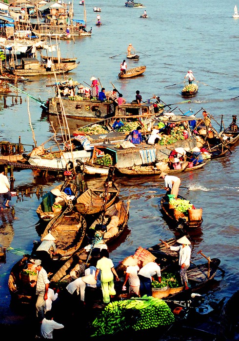 Mùa ghe “ chạy”…Tết - ảnh 3