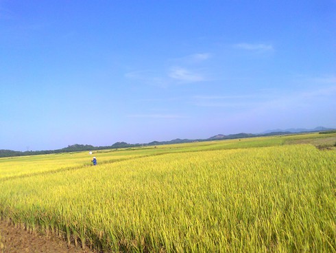 Đổi thay trên quê hương Trần Phú - ảnh 1