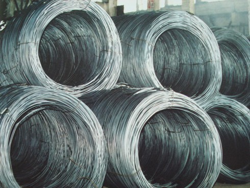 Doanh nghiệp Việt cần... chủ động đi kiện - ảnh 1