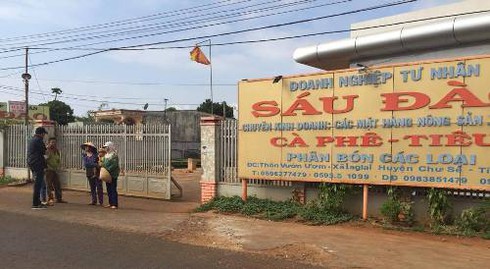 Gia Lai: Ôm nợ khủng, chủ DN thu mua nông sản bỏ trốn, nông dân điêu đứng - ảnh 1