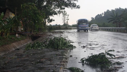 Gia Lai: Mưa đá kèm lốc xoáy khiến nhiều nhà tốc mái, cây đổ ngổn ngang - ảnh 1
