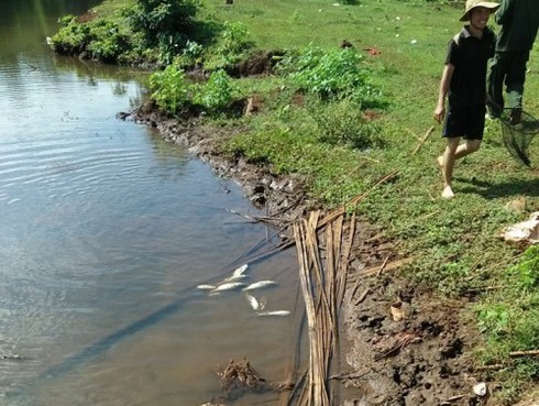 Đắk Lắk: Cá tiếp tục chết bất thường ở hồ Ea Trum - ảnh 2