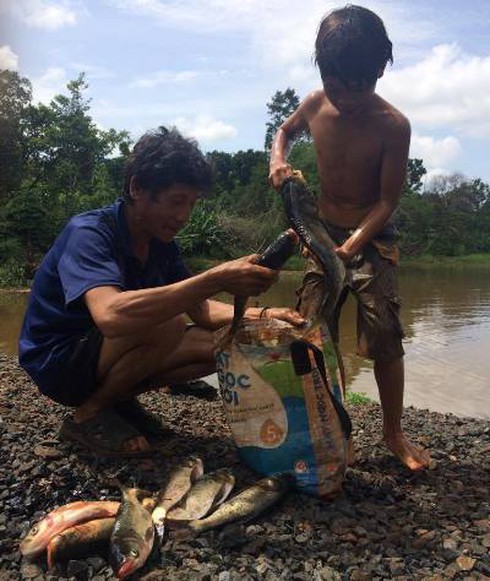 Đắk Lắk: Cá tiếp tục chết bất thường ở hồ Ea Trum - ảnh 1