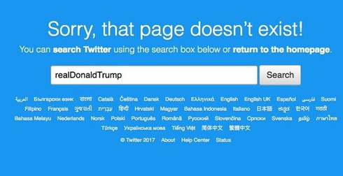 Lộ diện người đã hack tài khoản Twitter của Tổng thống Trump - ảnh 1