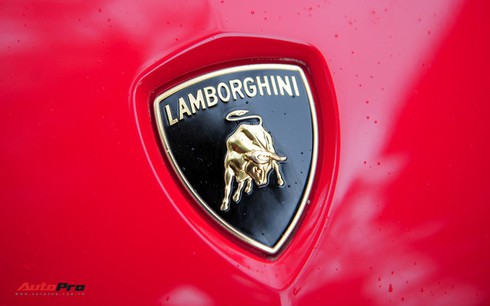 Chán phong cách Dubai, Lamborghini Aventador Roadster về màu nguyên bản tại Hà Nội - Ảnh 7.