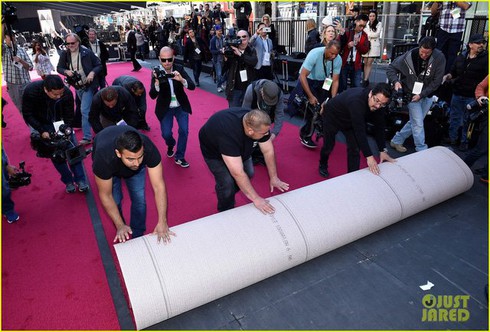Xem trực tiếp lễ trao giải Oscar 2018 trên HBO HD lúc 7h30 tối nay (5/3) - ảnh 2