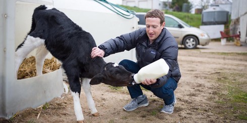 Chi phi bao ve cho Mark Zuckerberg het hon 7 trieu USD/nam hinh anh 2