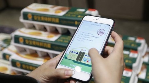 Alibaba đầu tư mạnh dịch vụ chăm sóc sức khỏe với AI - ảnh 1