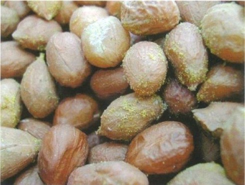 Danh sách thực phẩm gây ung thư được quốc tế công nhận, nhiều người đều đang ăn mỗi ngày - 4