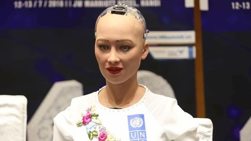 Google: Người Việt đổ xô tìm hiểu về robot Sophia trong thứ 6 ngày 13 - ảnh 1
