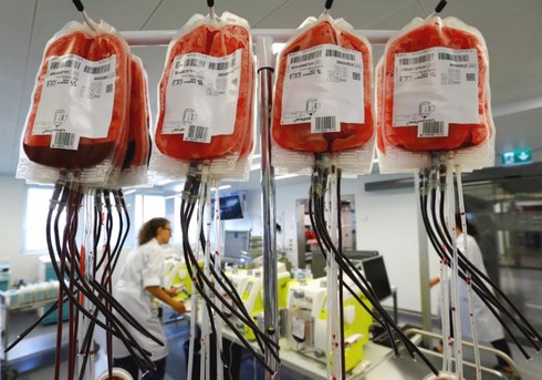 Bước nhảy vọt của y học: Giới khoa học tìm ra cách chuyển nhóm máu A thành nhóm máu O - ảnh 3