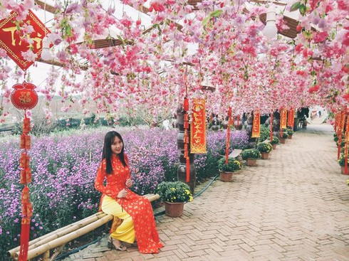 Cài đặt ngay những phần mềm chụp ảnh Tết đẹp, ảo diệu cho điện thoại Android - ảnh 1