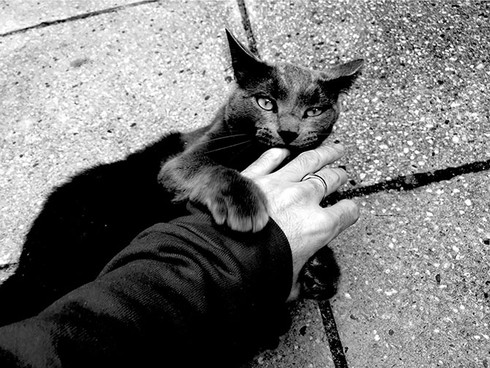 5 ứng dụng chụp ảnh vintage cho iPhone bạn nên thử - ảnh 6