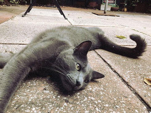 5 ứng dụng chụp ảnh vintage cho iPhone bạn nên thử - ảnh 4