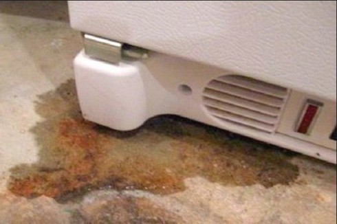 tủ lạnh bị chảy nước