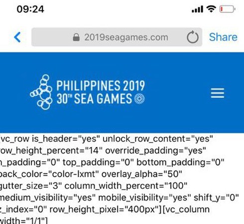 Vừa khai mạc, trang web sơ sài của SEA Games 30 đã sập - ảnh 1