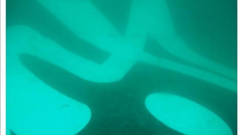 Tìm thấy đuôi máy bay AirAsia QZ8501, chưa biết có hộp đen hay không - ảnh 2