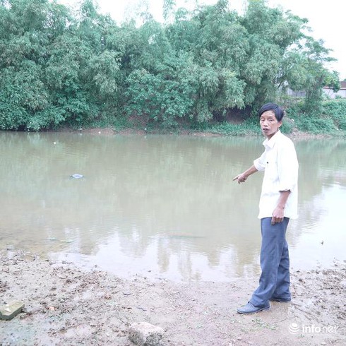 Lạ kỳ khúc gỗ 'bơi' ngược dòng sông Tích suốt 550 năm? - ảnh 1