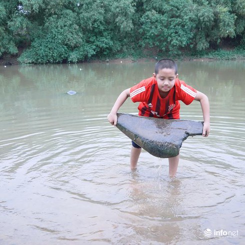 Lạ kỳ khúc gỗ 'bơi' ngược dòng sông Tích suốt 550 năm? - ảnh 2