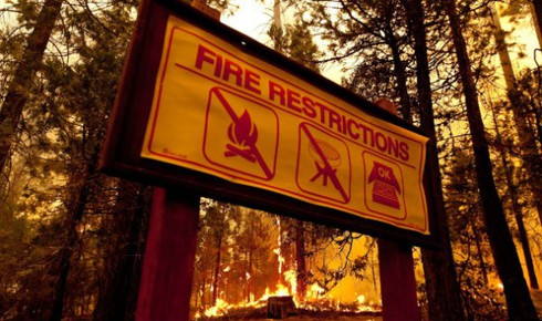 Mỹ: Cháy lớn đe dọa vườn quốc gia Yosemite - ảnh 9