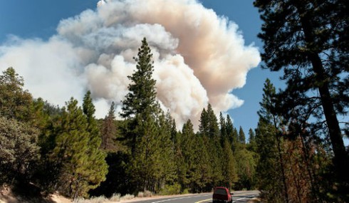 Mỹ: Cháy lớn đe dọa vườn quốc gia Yosemite - ảnh 8