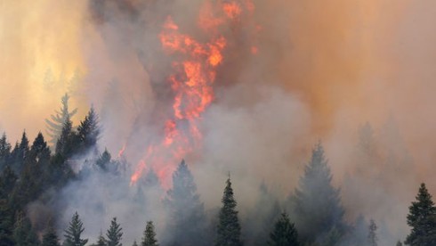 Mỹ: Cháy lớn đe dọa vườn quốc gia Yosemite - ảnh 11