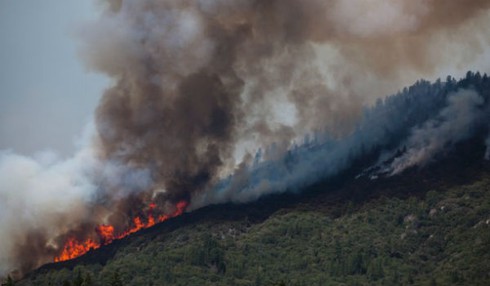 Mỹ: Cháy lớn đe dọa vườn quốc gia Yosemite - ảnh 4